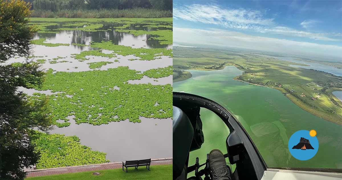 Vaal River Facing Alarming Deterioration Warns Environmentalist